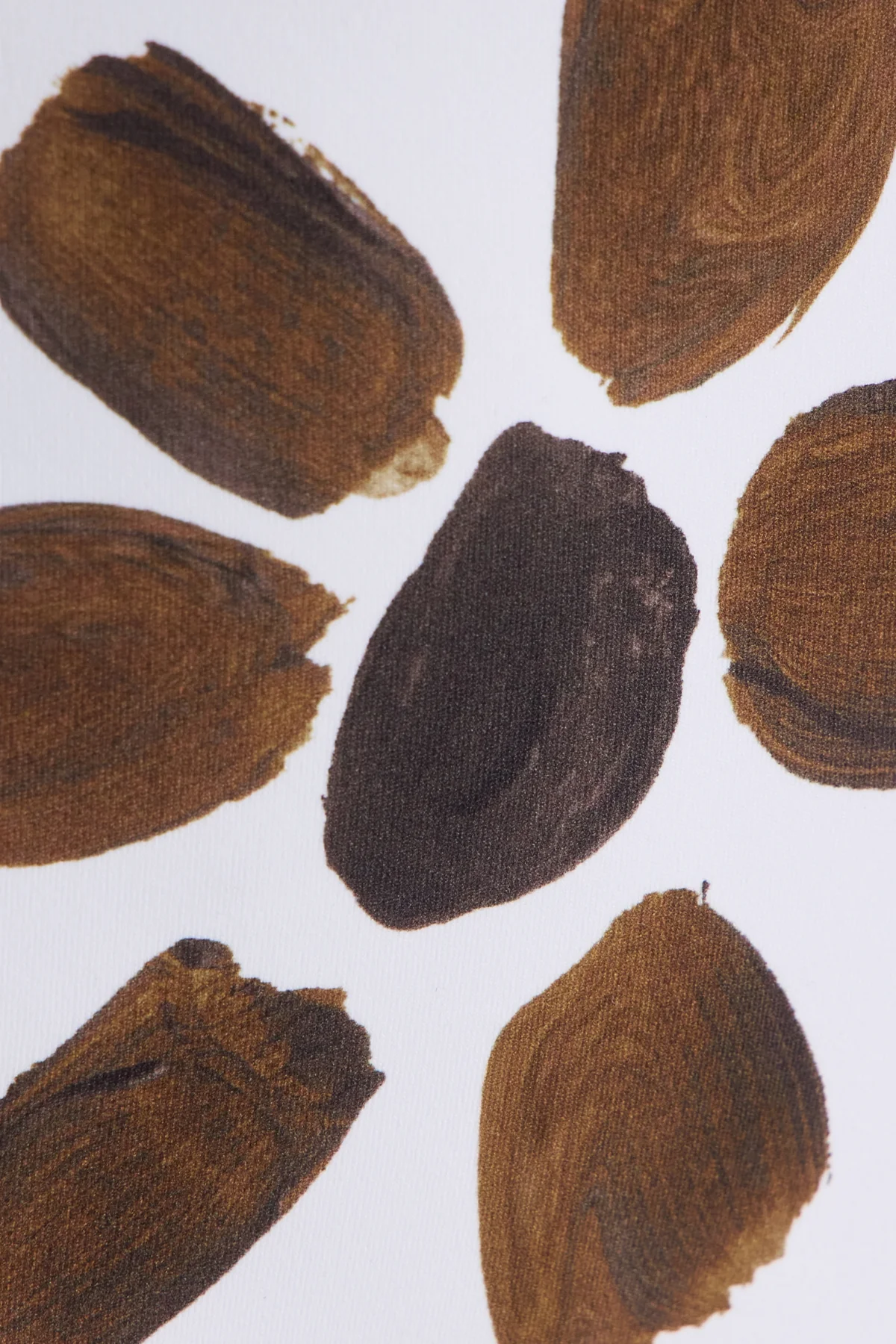 High Full Brief - Chocolate Flower - Image 5